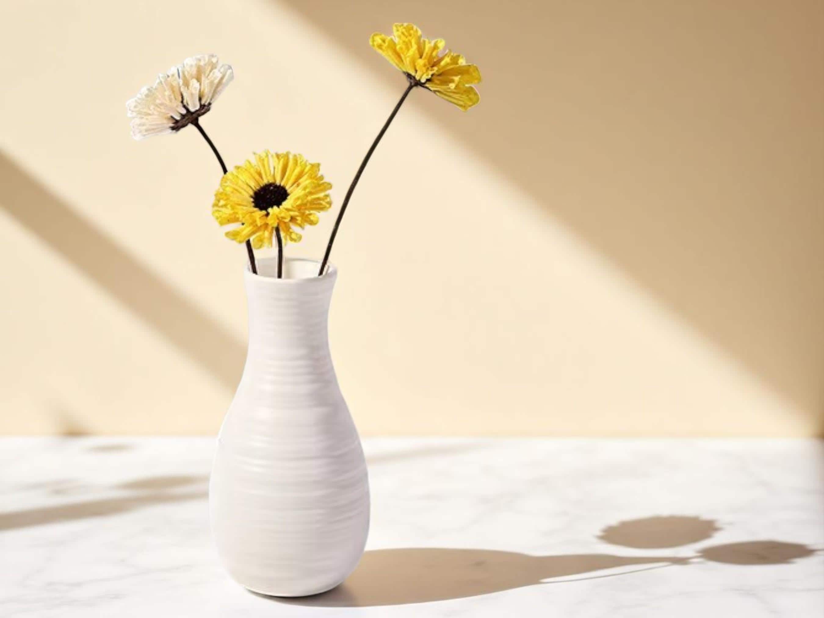 Modern Matte Plastic Vase, Minimalist Nordic Flower Vase, Contemporary Home Decor Accent